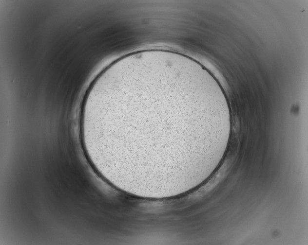 X0000102361054200808291221