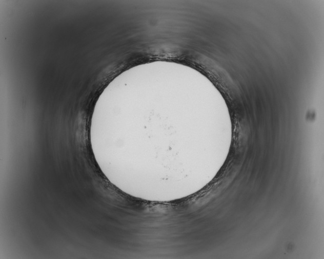 X0000102361058200808291220