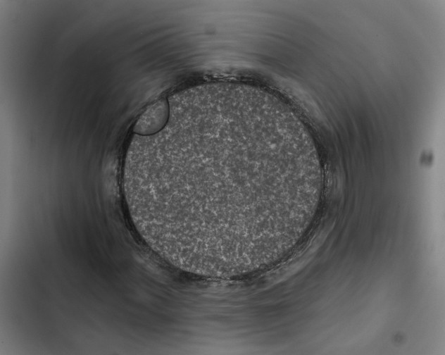 X0000102361060200808291220