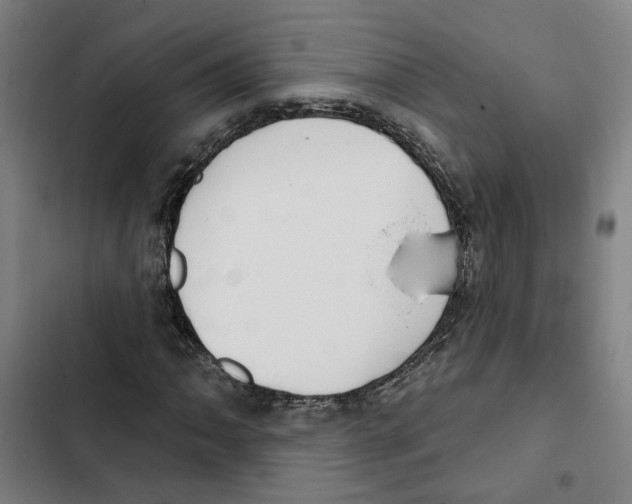 X0000102361062200808291220