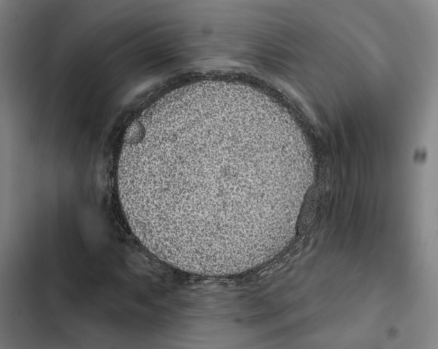 X0000102361063200808291220
