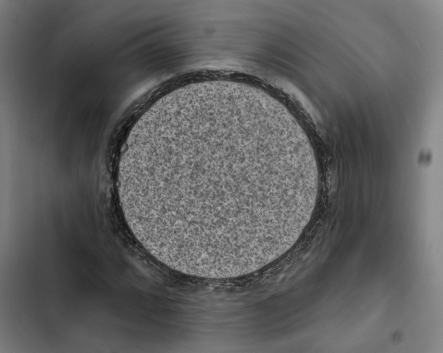 X0000102361064200808291220