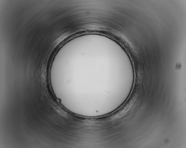 X0000102361065200808291220