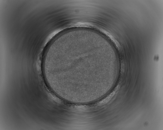 X0000102361066200808291220
