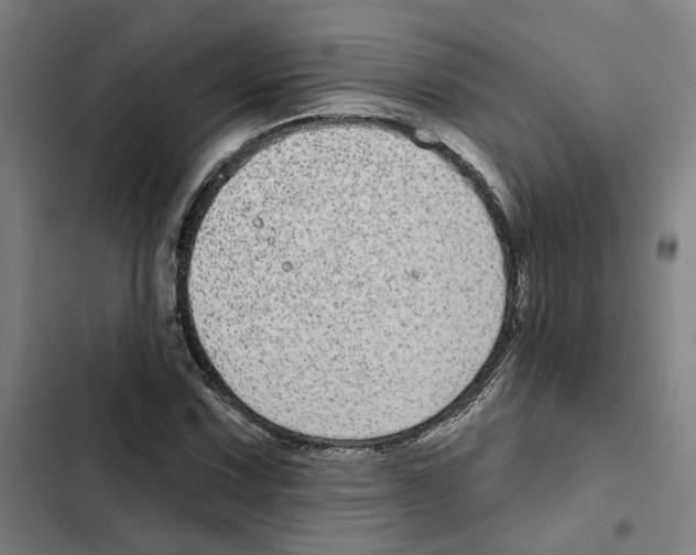 X0000102361067200808291220