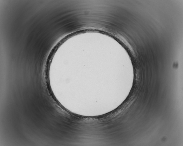 X0000102361068200808291220