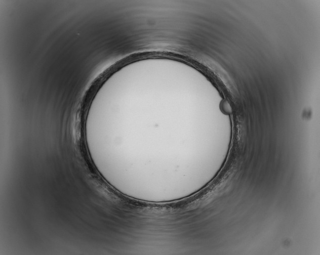 X0000102361069200808291220