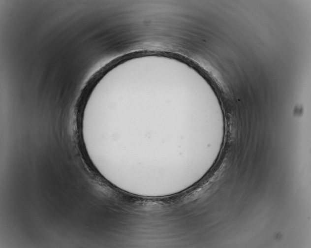 X0000102361070200808291220