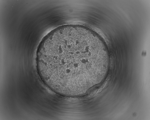 X0000102361071200808291220