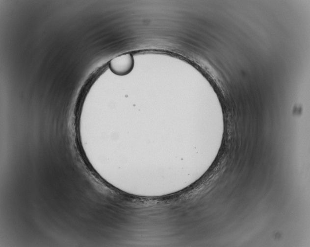 X0000102361072200808291220