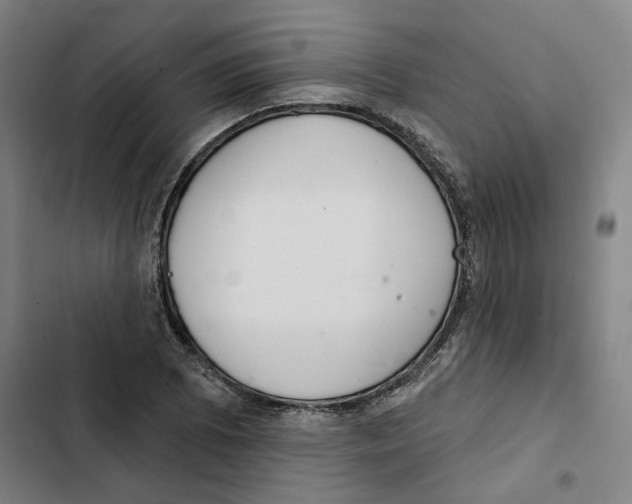 X0000102361073200808291220