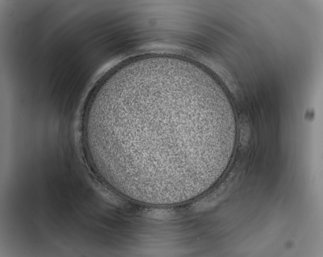 X0000102361074200808291220