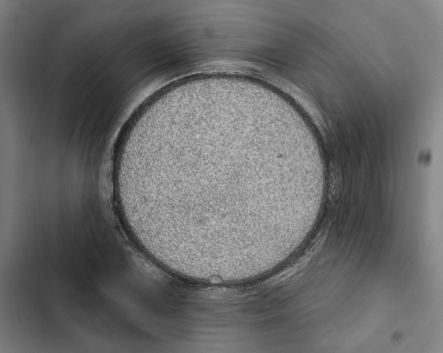 X0000102361075200808291220