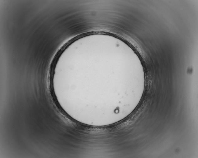 X0000102361076200808291220