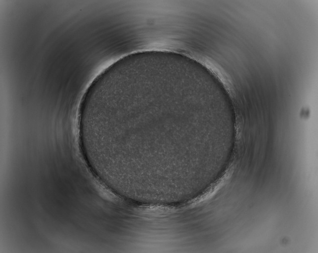X0000102361077200808291220