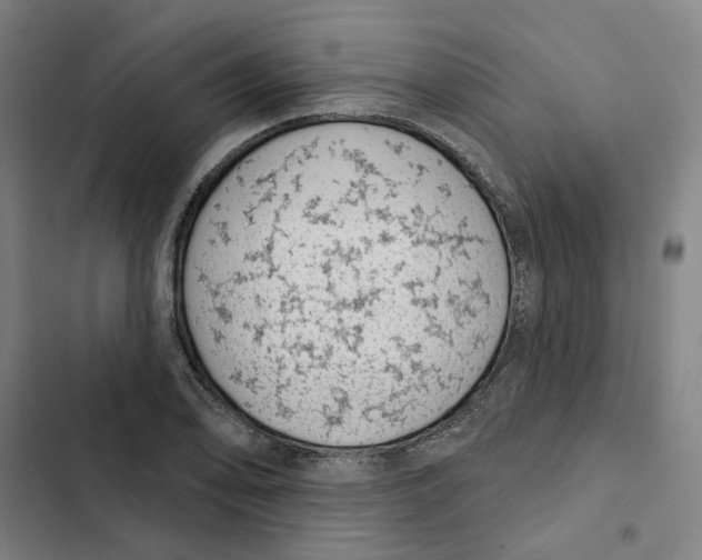 X0000102361078200808291220