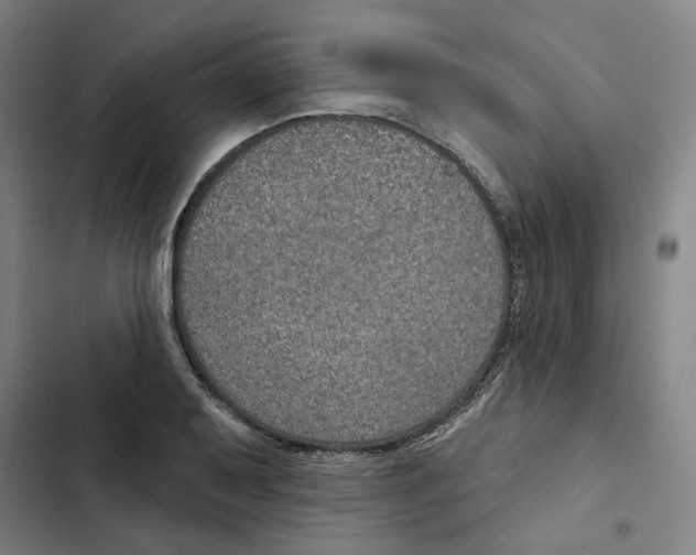 X0000102361079200808291220