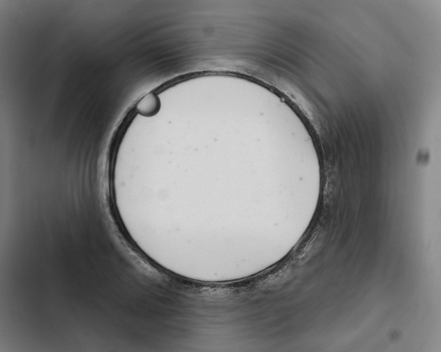 X0000102361080200808291220