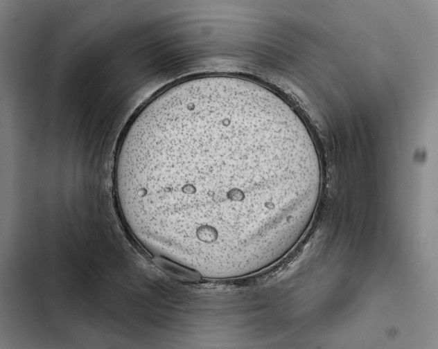 X0000102361081200808291220