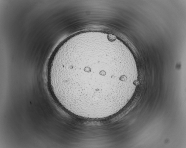 X0000102361083200808291220