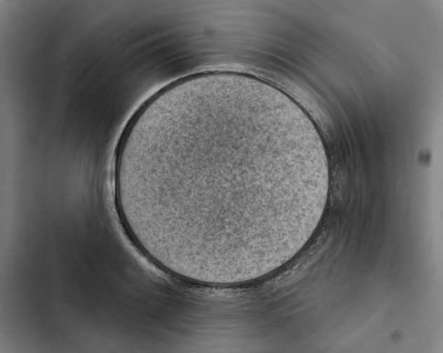 X0000102361084200808291220