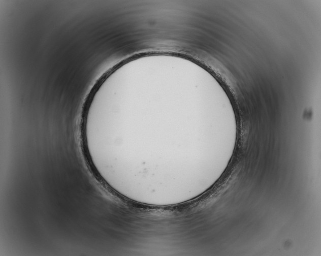 X0000102361085200808291220