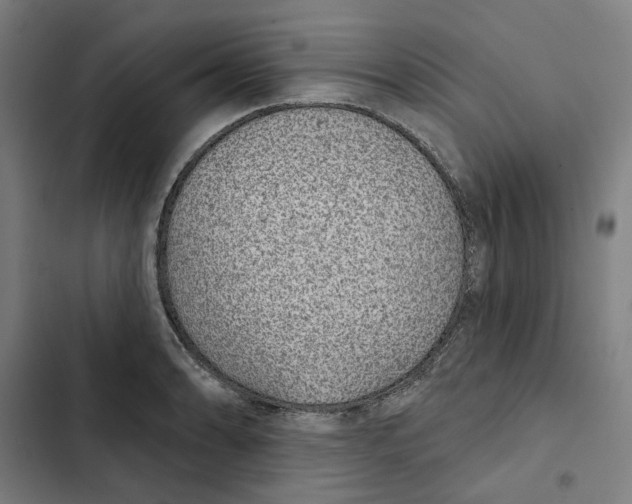 X0000102361086200808291220