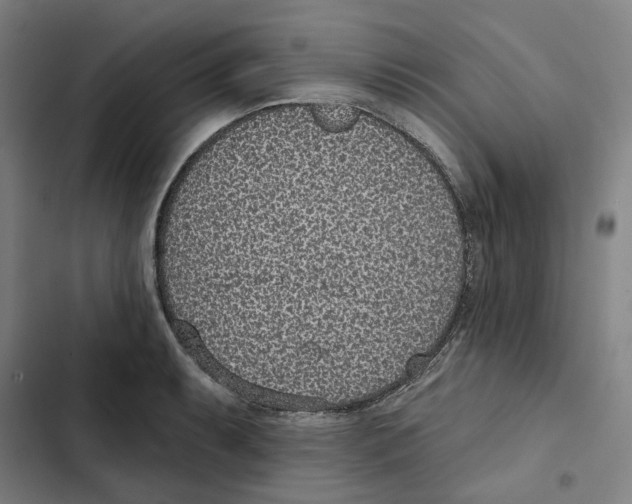 X0000102361087200808291220