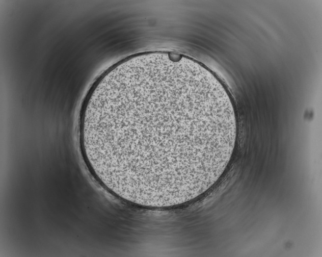 X0000102361088200808291219