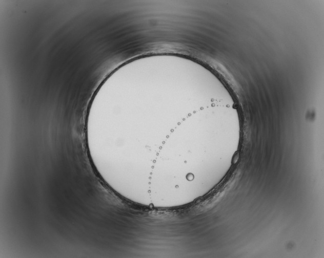 X0000102361089200808291219