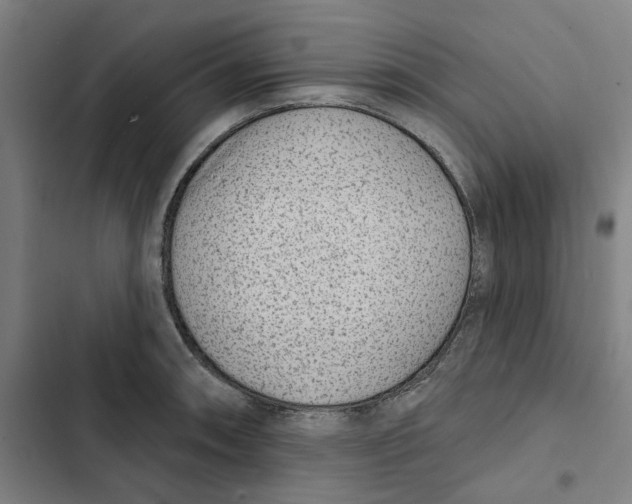 X0000102361090200808291219