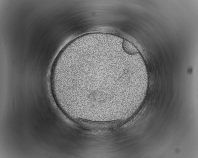 X0000102361091200808291219