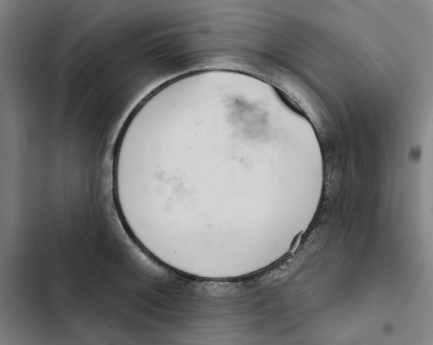 X0000102361092200808291219