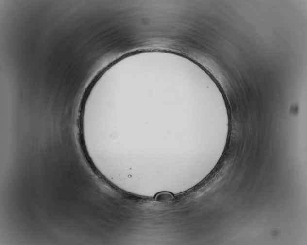 X0000102361093200808291219