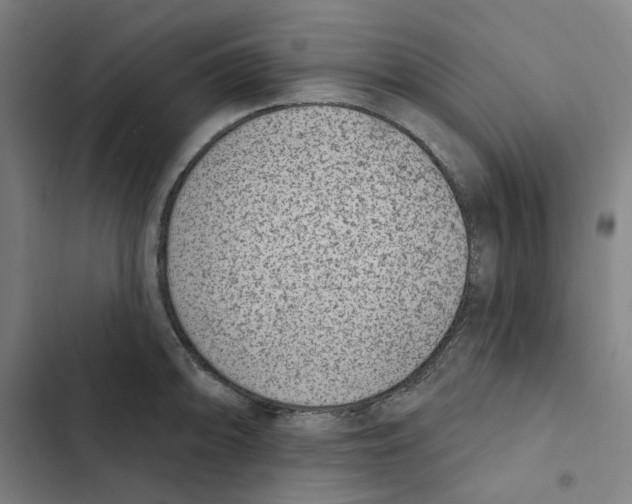 X0000102361094200808291219