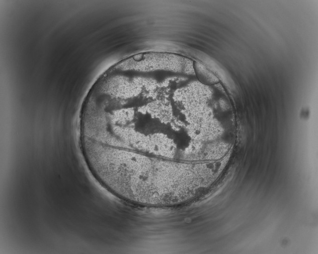 X0000102361095200808291219