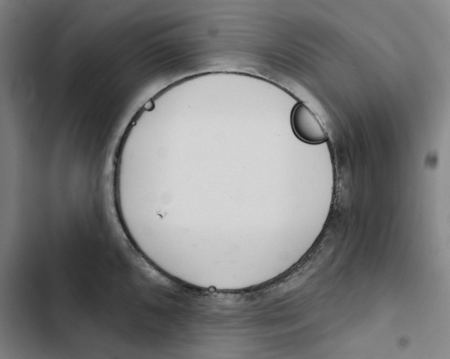 X0000102361096200808291219