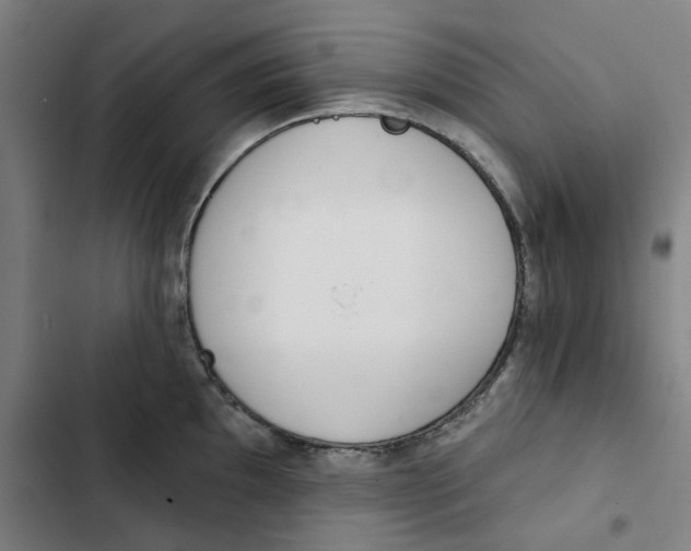 X0000102361097200808291219