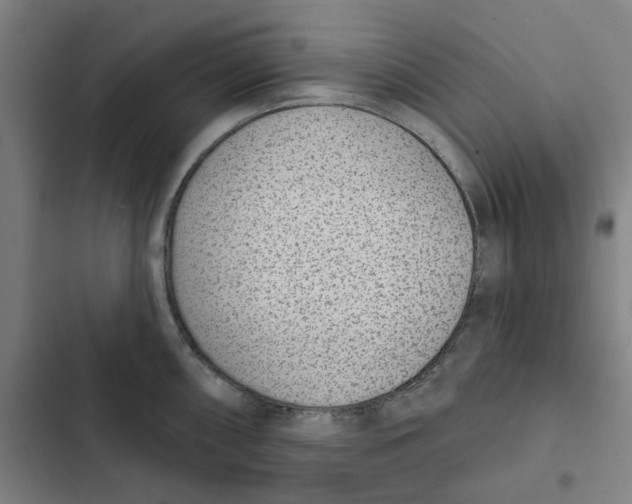 X0000102361098200808291219