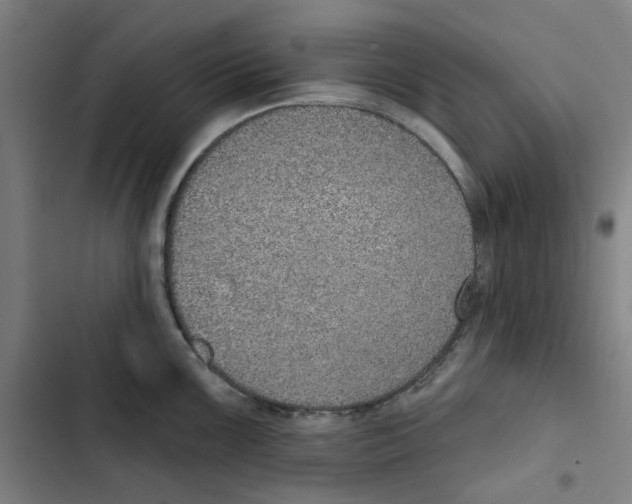 X0000102361099200808291219