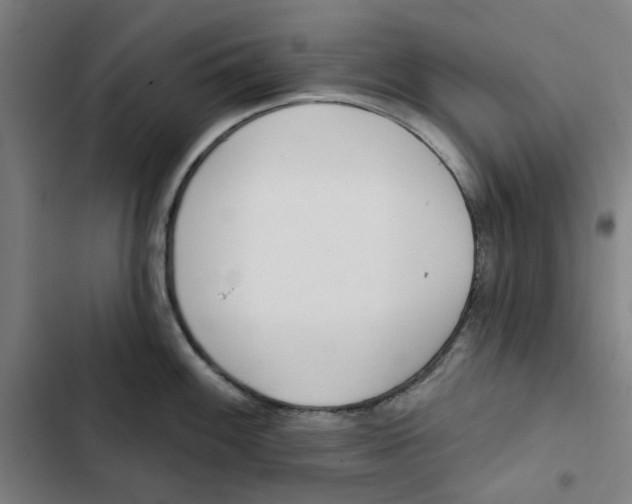 X0000102361100200808291219