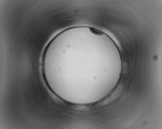 X0000102361101200808291219