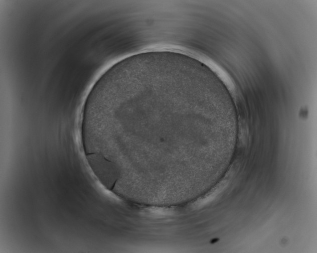 X0000102361102200808291219