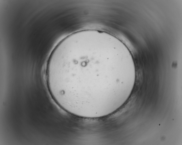 X0000102361103200808291219