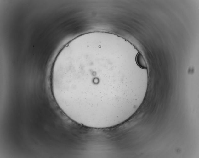 X0000102361104200808291219