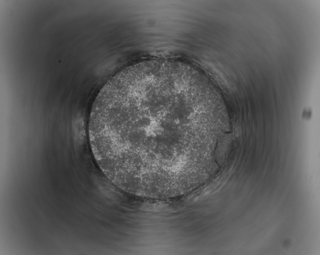 X0000102361106200808291218