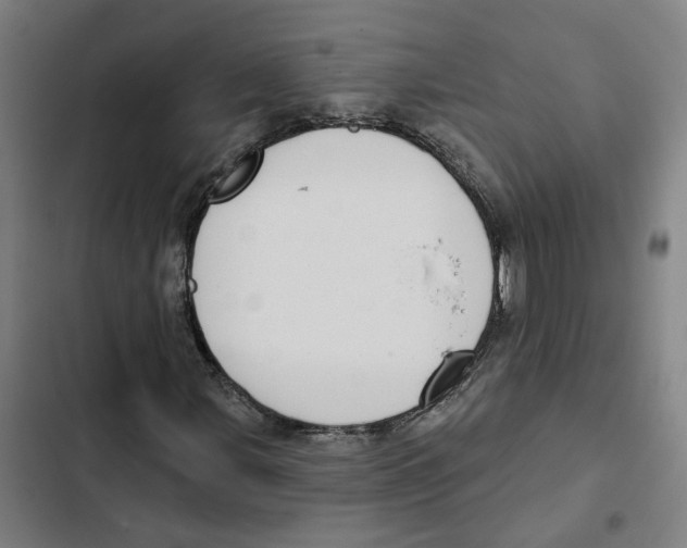 X0000102361107200808291218