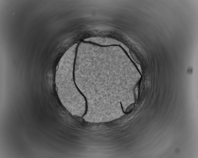 X0000102361108200808291218