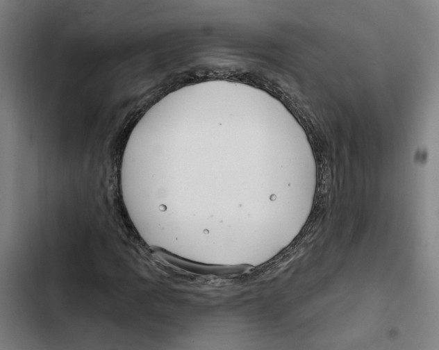 X0000102361109200808291219