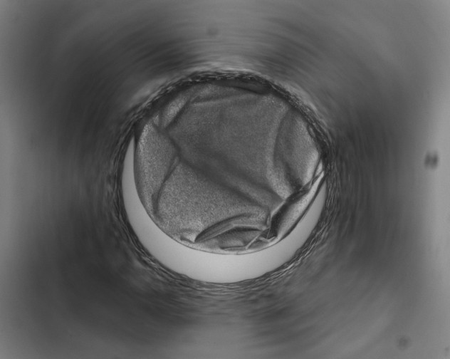 X0000102361110200808291219